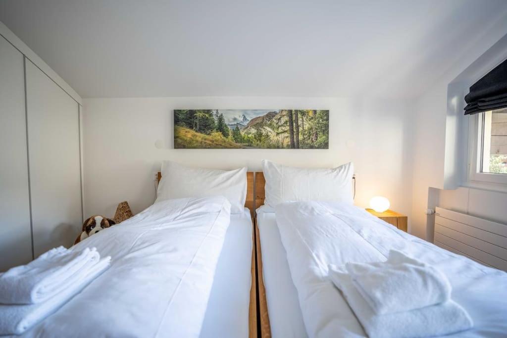 Moderne Wohnung Mit Ausblick Und Viel Sonne Церматт Екстер'єр фото